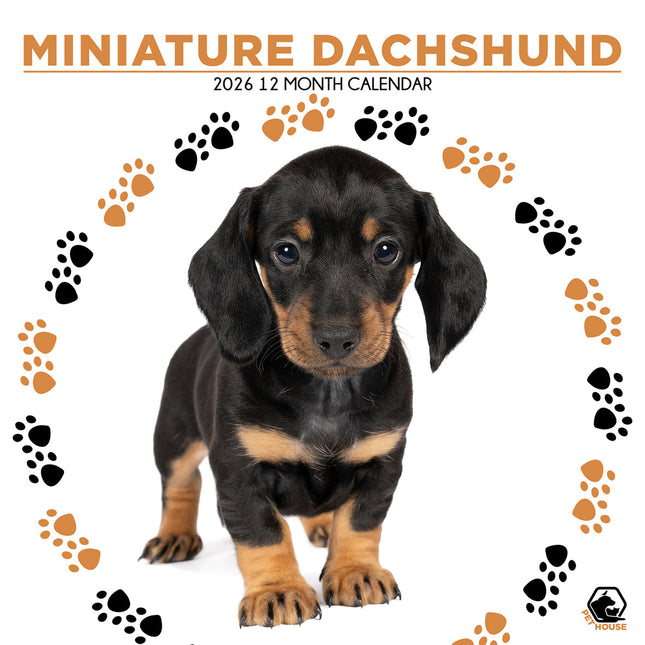 CalendarsRUs Miniatuur Teckel Kalender 2026
