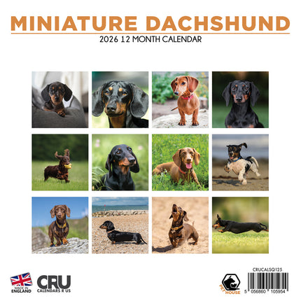 CalendarsRUs Miniatuur Teckel Kalender 2026