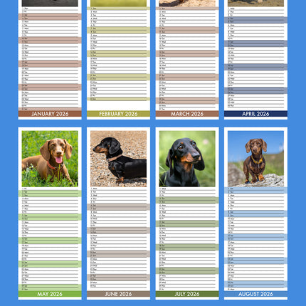 CalendarsRUs Miniatuur Teckel Slimline Kalender 2027