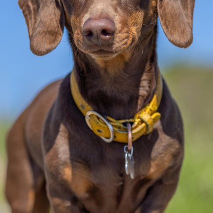 CalendarsRUs Miniatuur Teckel Slimline Kalender 2027