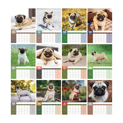 CalendarsRUs Mopshond A3 Kalender 2026