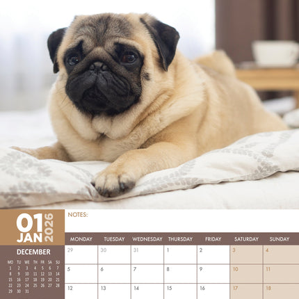 CalendarsRUs Mopshond A3 Kalender 2026