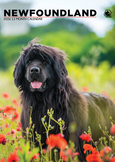 CalendarsRUs Newfoundlander A3 Kalender 2027
