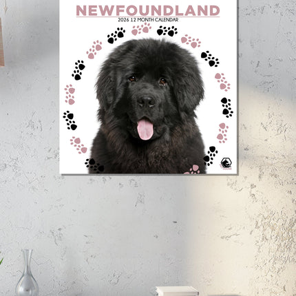 CalendarsRUs Newfoundlander Kalender 2026