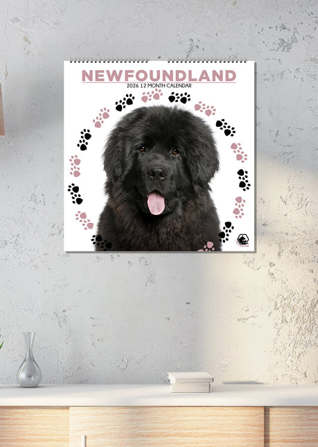 CalendarsRUs Newfoundlander Kalender 2026