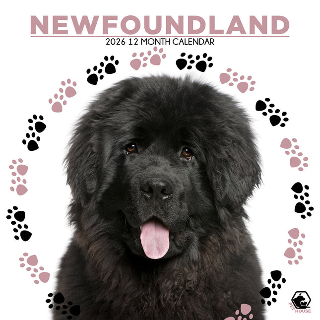 CalendarsRUs Newfoundlander Kalender 2026