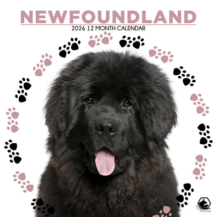 CalendarsRUs Newfoundlander Kalender 2026