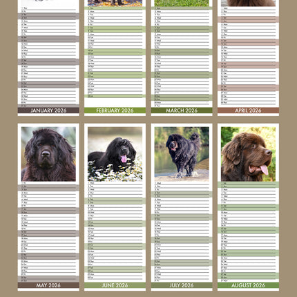 CalendarsRUs Newfoundlander Slimline Kalender 2026