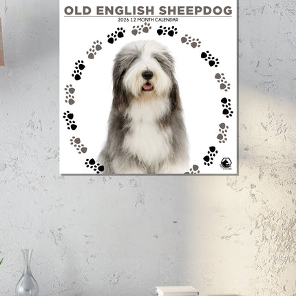 CalendarsRUs Old English Sheepdog Kalender 2026
