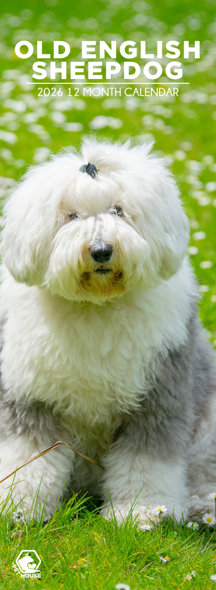 CalendarsRUs Old English Sheepdog Slimline Kalender 2026