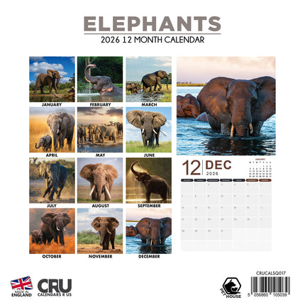 CalendarsRUs Olifanten Kalender 2026