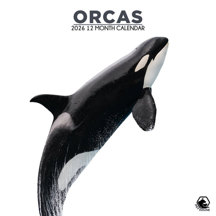 CalendarsRUs Orca Kalender 2026
