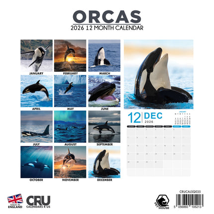CalendarsRUs Orca Kalender 2026