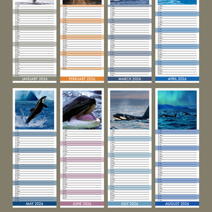 CalendarsRUs Orka Slimline Kalender 2026