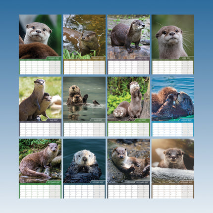 CalendarsRUs Otter A3 Kalender 2027