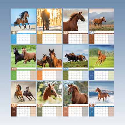 CalendarsRUs Paarden A3 Kalender 2026
