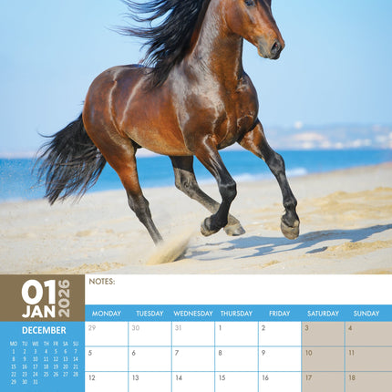 CalendarsRUs Paarden A3 Kalender 2026