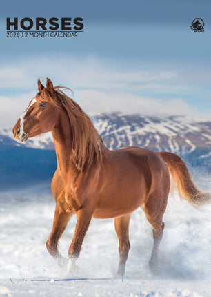 CalendarsRUs Paarden A3 Kalender 2026