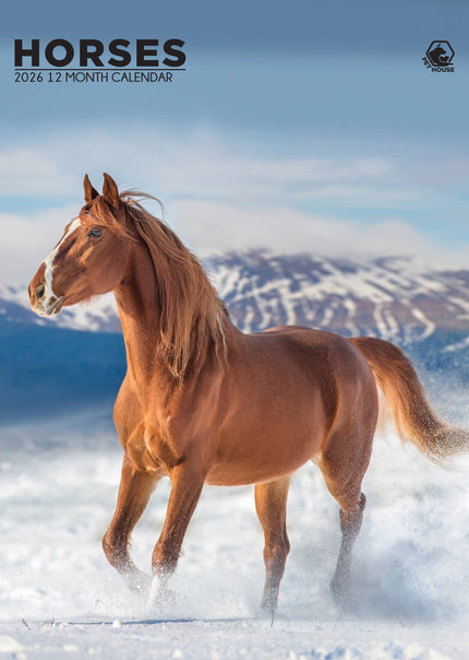 CalendarsRUs Paarden A3 Kalender 2026