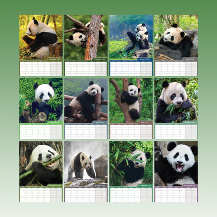 CalendarsRUs Panda A3 Kalender 2027