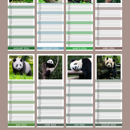 CalendarsRUs Pandas Slimline Kalender 2026