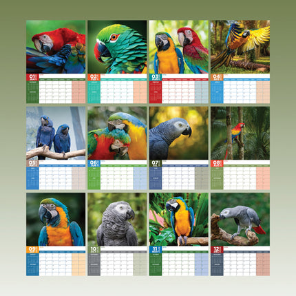 CalendarsRUs Papegaaien A3 Kalender 2026
