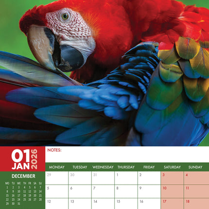 CalendarsRUs Papegaaien A3 Kalender 2026