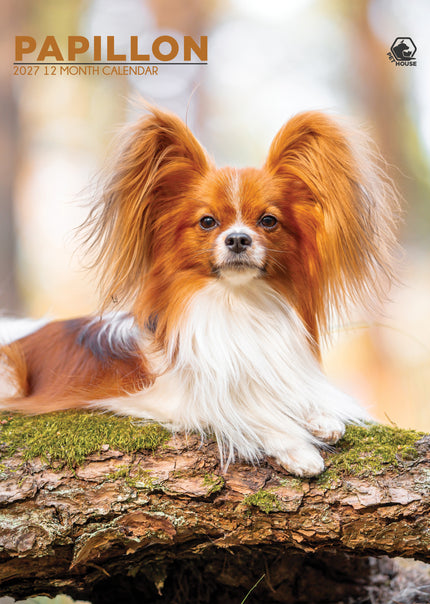 CalendarsRUs Papillon A3 Kalender 2027