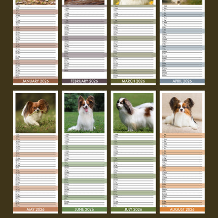 CalendarsRUs Papillon Slimline Kalender 2026