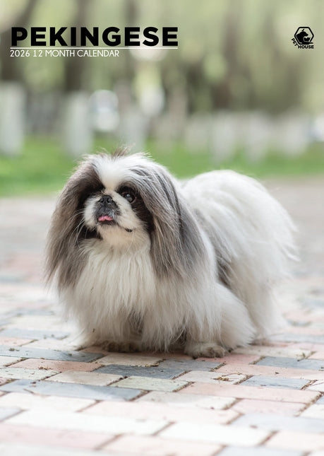 CalendarsRUs Pekingees A3 Kalender 2026