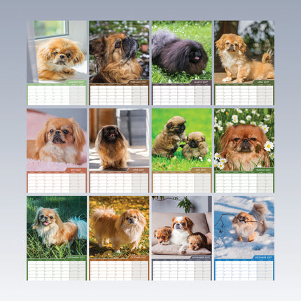 CalendarsRUs Pekingees A3 Kalender 2027