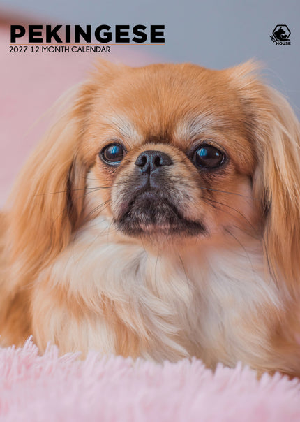 CalendarsRUs Pekingees A3 Kalender 2027