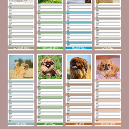 CalendarsRUs Pekingees Slimline Kalender 2026