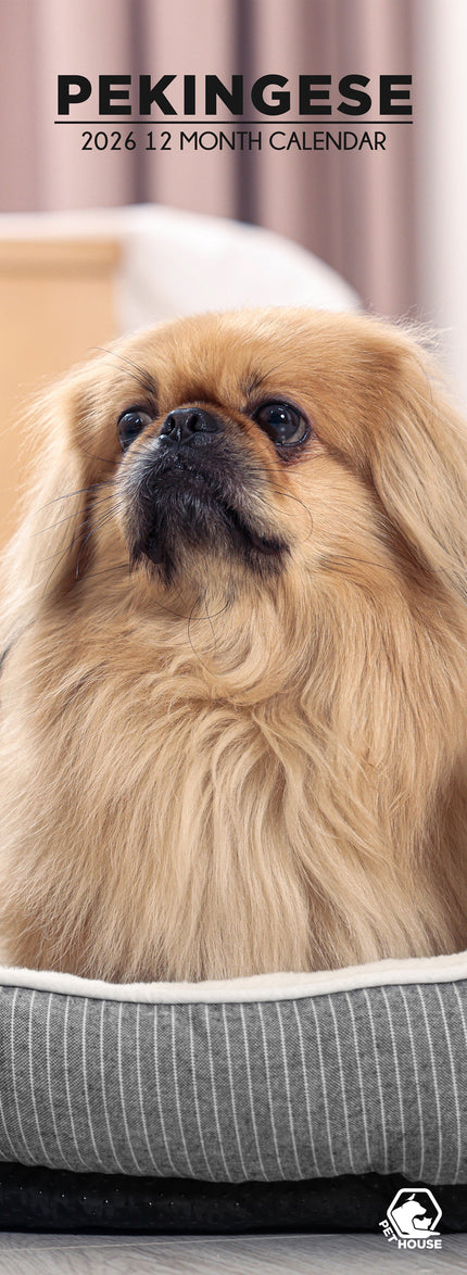 CalendarsRUs Pekingees Slimline Kalender 2026
