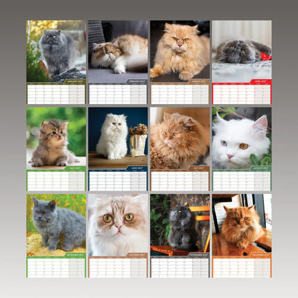CalendarsRUs Pers A3 kalender 2027