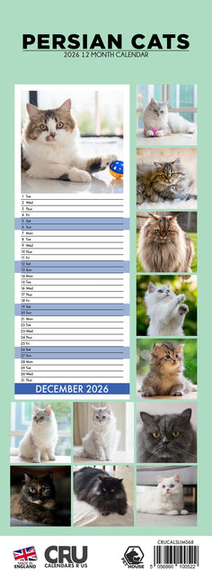 CalendarsRUs Perzische Katten Slimline Kalender 2026