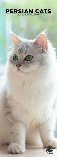 CalendarsRUs Perzische Katten Slimline Kalender 2026