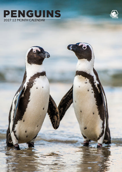 CalendarsRUs Pinguin A3 Kalender 2027