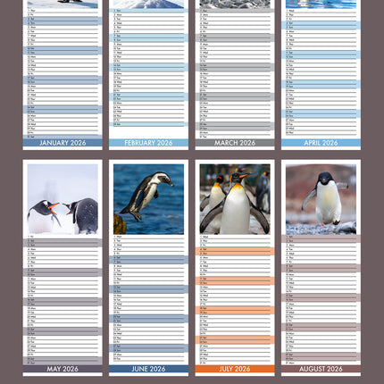 CalendarsRUs Pinguins Slimline Kalender 2026