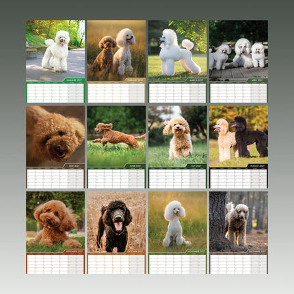 CalendarsRUs Poedel A3 Kalender 2027