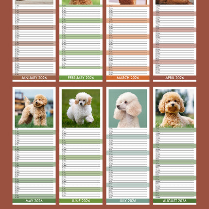CalendarsRUs Poedel Slimline Kalender 2026