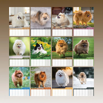 CalendarsRUs Pomeranian A3 Kalender 2027