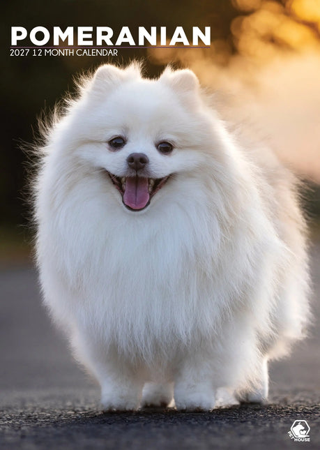CalendarsRUs Pomeranian A3 Kalender 2027