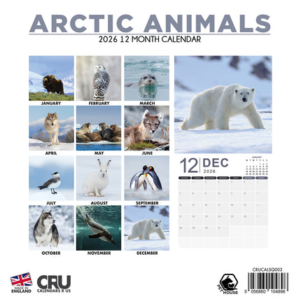 CalendarsRUs Pooldieren Kalender 2026