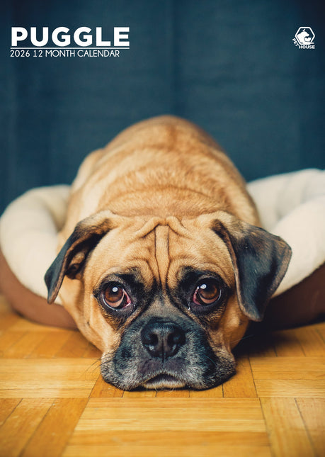 CalendarsRUs Puggle A3 Kalender 2026