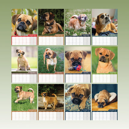 CalendarsRUs Puggle A3 Kalender 2027