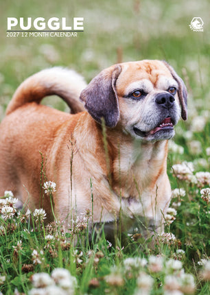 CalendarsRUs Puggle A3 Kalender 2027