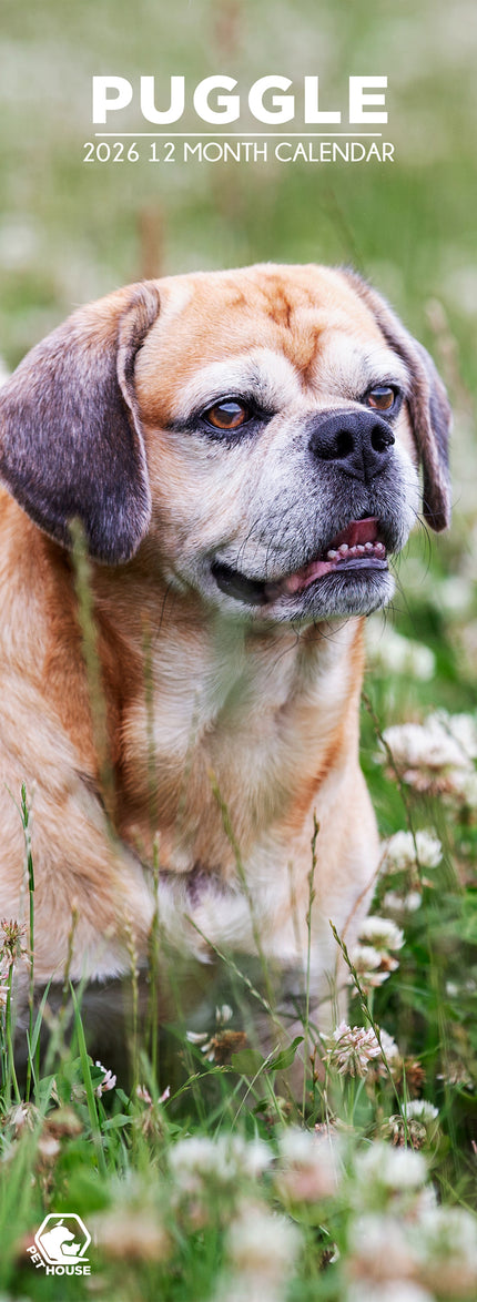 CalendarsRUs Puggle Slimline Kalender 2026