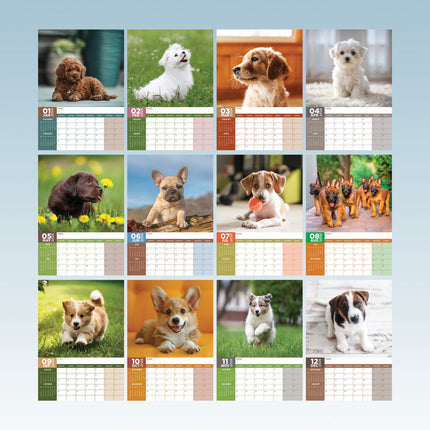 CalendarsRUs Puppies A3 Kalender 2026