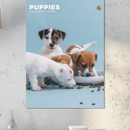 CalendarsRUs Puppies A3 Kalender 2026